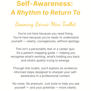 Beaming Bernie Self-Awareness Toolkit cover – yellow and white design for understanding patterns and aligning professional choices.